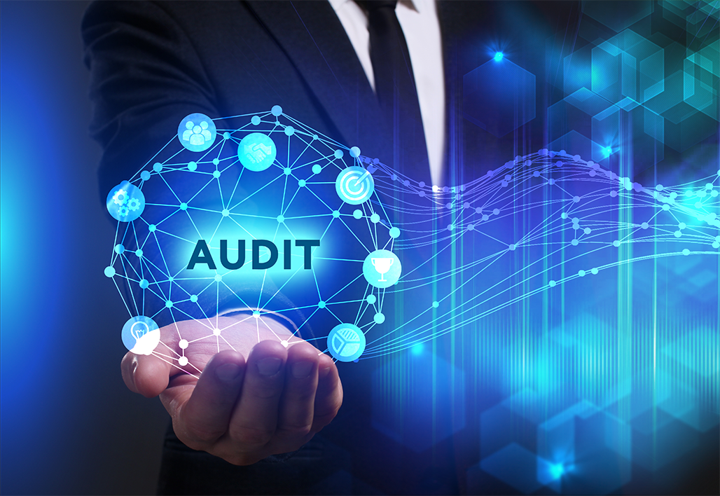ICT Systems Audit